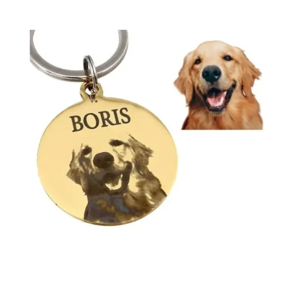 Hondenpenning met foto graveren Gegraveerde Penning voor honden en katten met naam en foto en adres goud