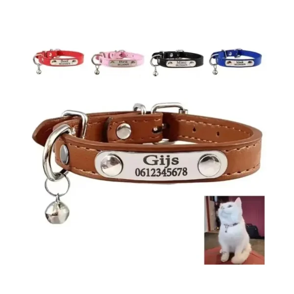 Halsband kat met naam en belletje - Halsband kitten en kat met naam en telefoonnummer
