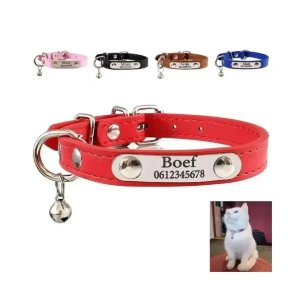 Halsband kat met naam en belletje - Halsband kitten en kat met naam en telefoonnummer