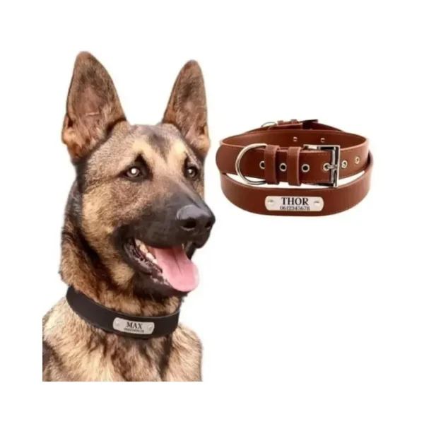 Stoere hondenhalsband met naam halsband hond met naam en telefoonnummer