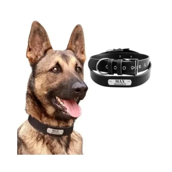 Stoere hondenhalsband met naam halsband hond met naam en telefoonnummer